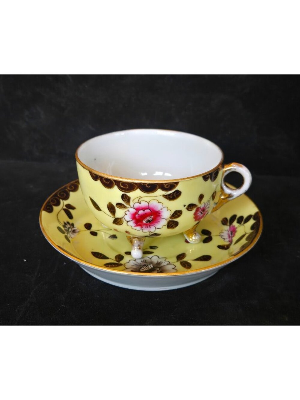 Antique Altrohau Czech Chinoiserie Floral Footed Teacup & Saucer Hand Painted